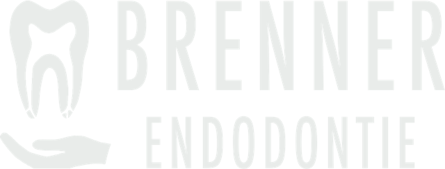 Brenner Endodontie